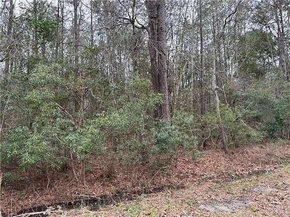 5 Acres of Residential Land for Sale in Lacombe, Louisiana