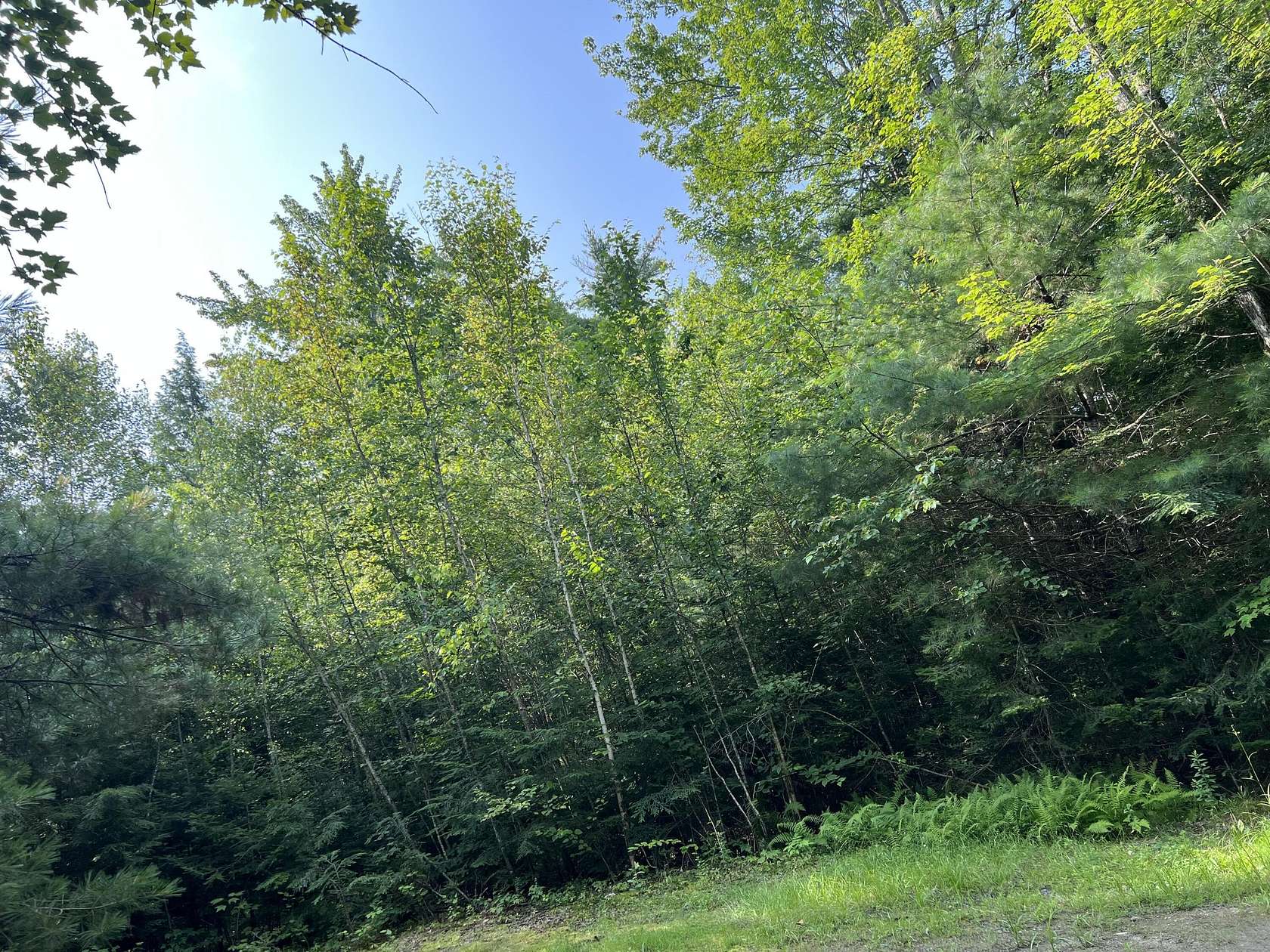 4.4 Acres of Residential Land for Sale in Bradford, Maine