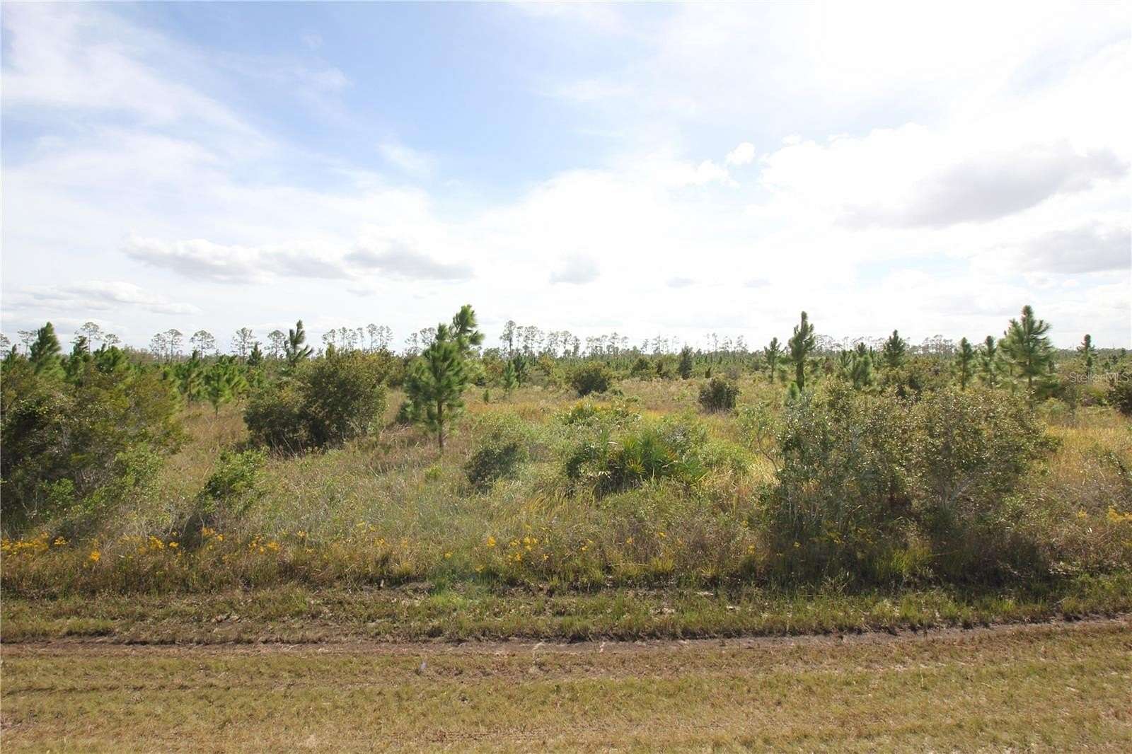 0.5 Acres of Residential Land for Sale in Indian Lake Estates, Florida