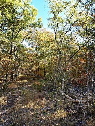 1 Acre of Residential Land for Sale in Kissee Mills, Missouri