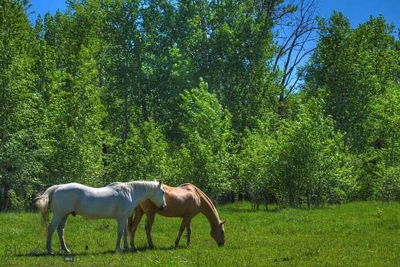 40.5 Acres of Land for Sale in Bozeman, Montana