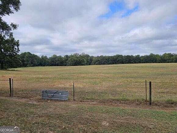 25 Acres of Agricultural Land for Sale in Zebulon, Georgia