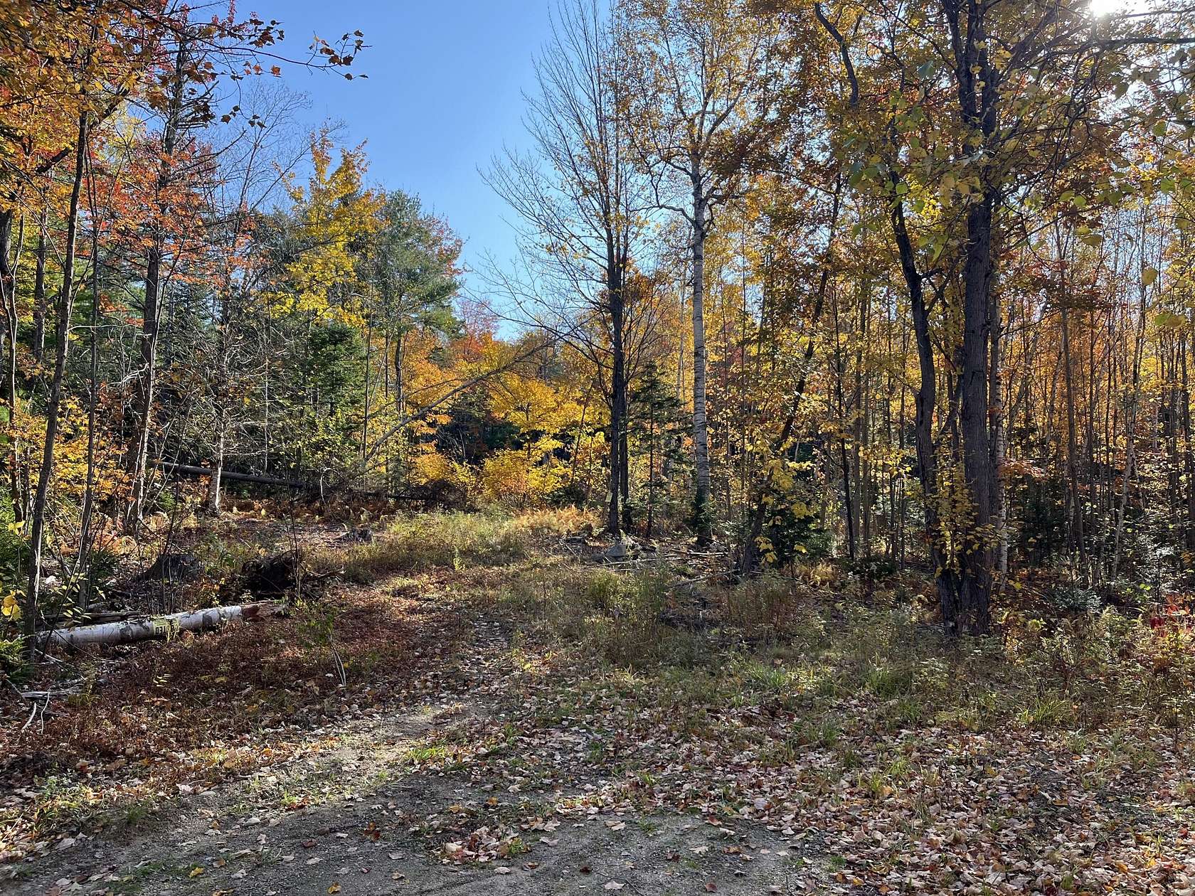 3.28 Acres of Residential Land for Sale in Bethel, Maine