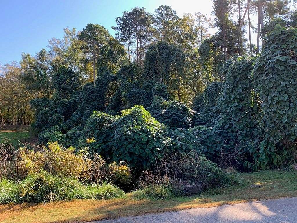 0.93 Acres of Residential Land for Sale in Chesnee, South Carolina