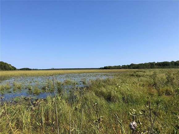 21.1 Acres of Recreational Land for Sale in Jevne Township, Minnesota