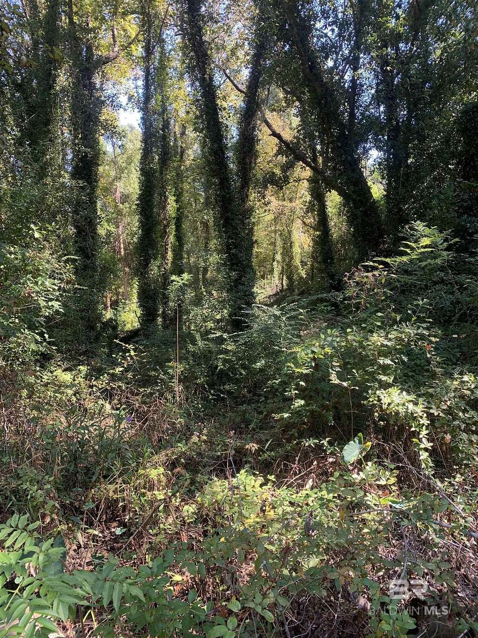 0.361 Acres of Residential Land for Sale in Fairhope, Alabama