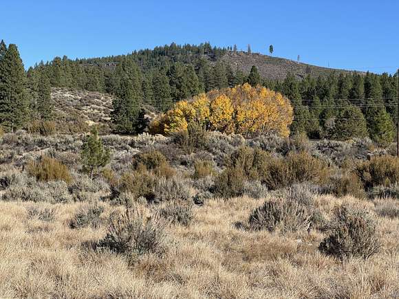 5 Acres of Land for Sale in Chiloquin, Oregon