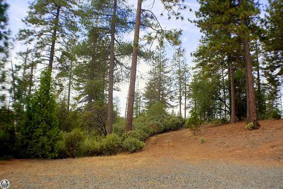 13.6 Acres of Land for Sale in Groveland, California