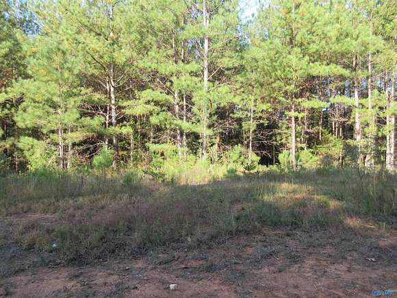 60 Acres of Land for Sale in Stevenson, Alabama