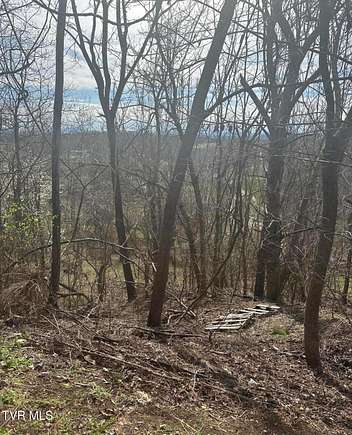 0.62 Acres of Residential Land for Sale in Kingsport, Tennessee