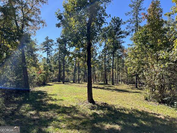 70 Acres of Recreational Land for Sale in Forsyth, Georgia