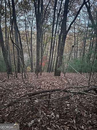 2.7 Acres of Residential Land for Sale in Ranger, Georgia
