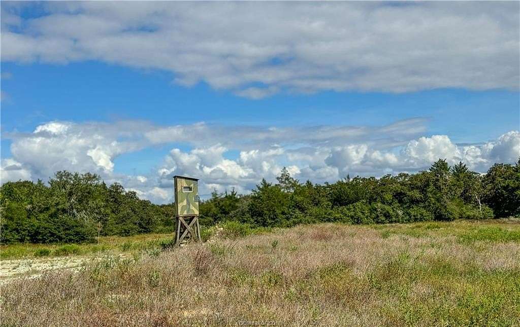 50 Acres of Recreational Land for Sale in Caldwell, Texas