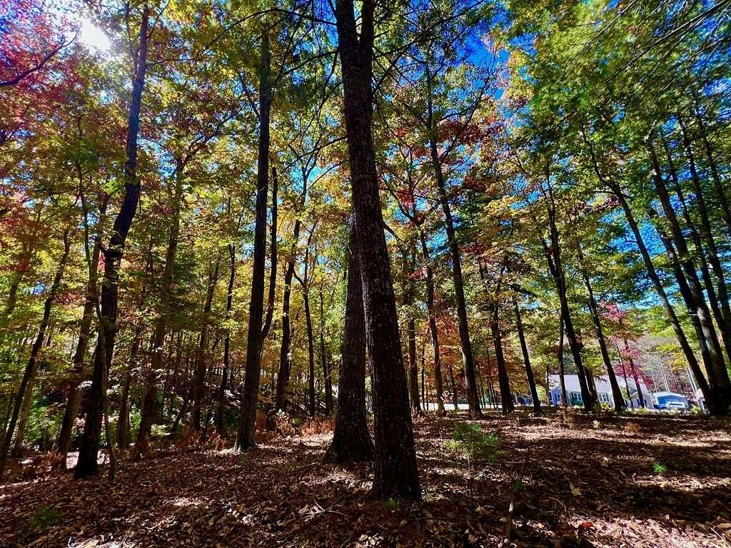 1 Acre of Land for Sale in Blairsville, Georgia