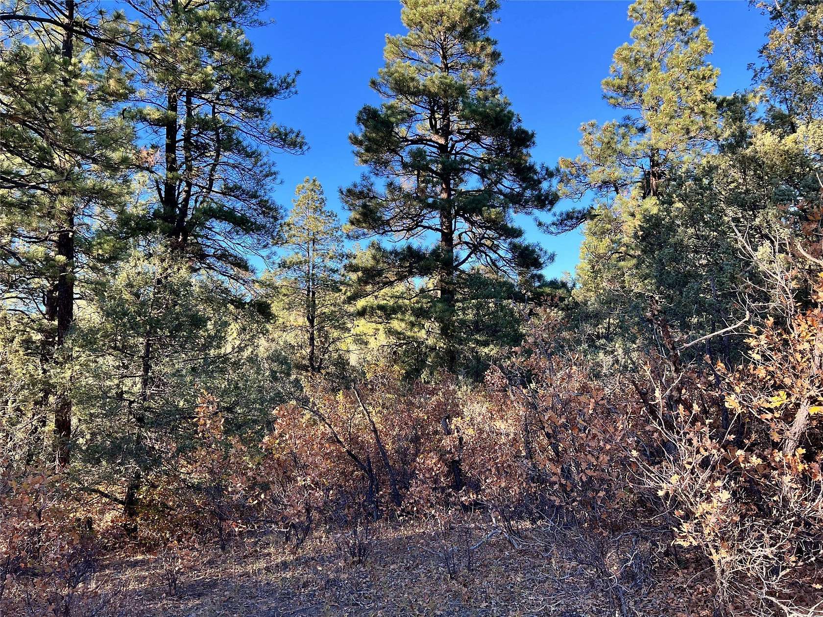 3.13 Acres of Residential Land for Sale in Chama, New Mexico