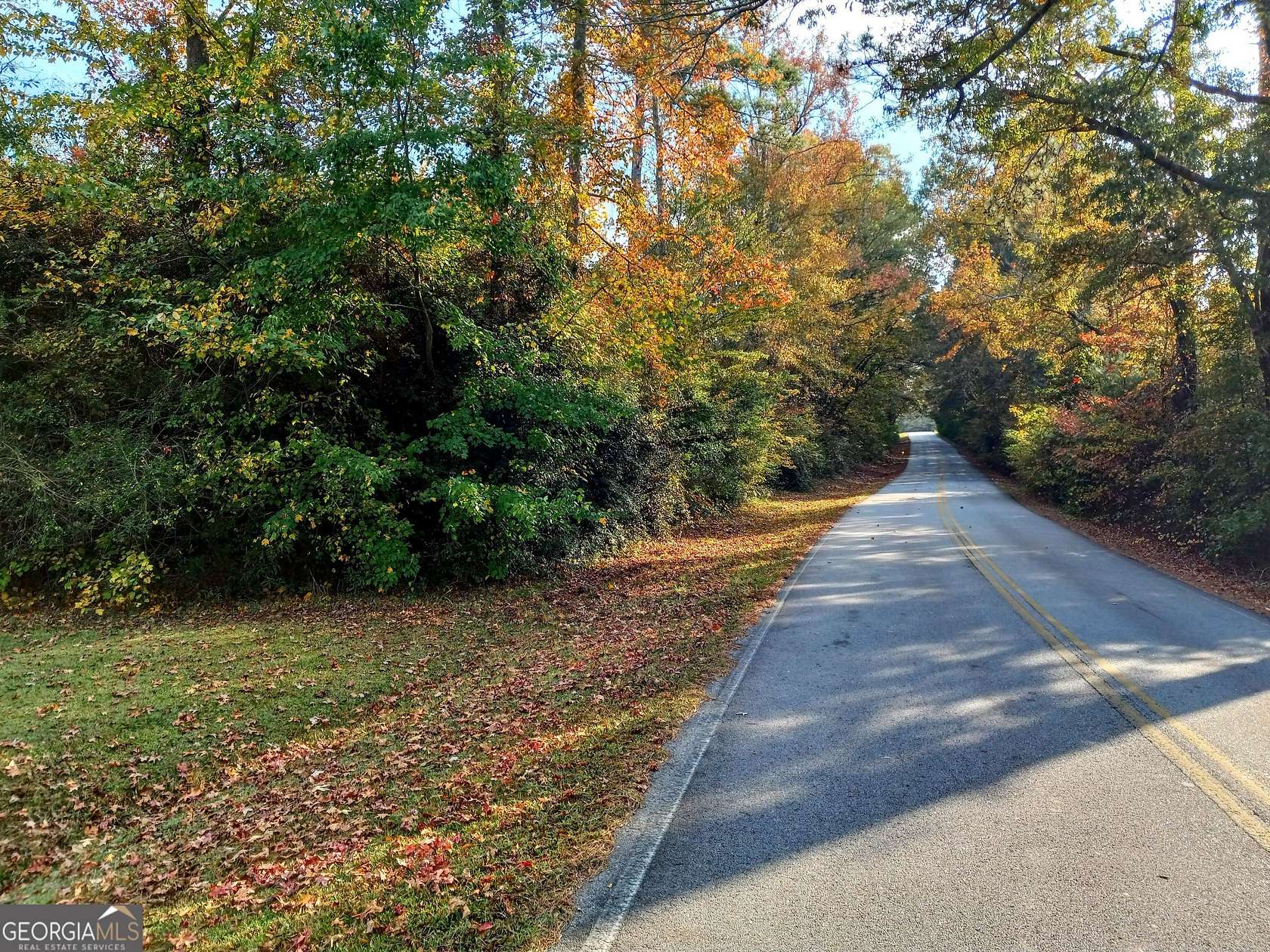 13.41 Acres of Land for Sale in Temple, Georgia