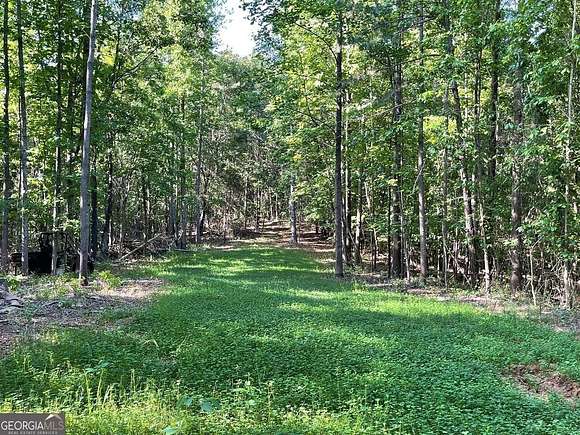 55 Acres of Recreational Land & Farm for Sale in Lula, Georgia