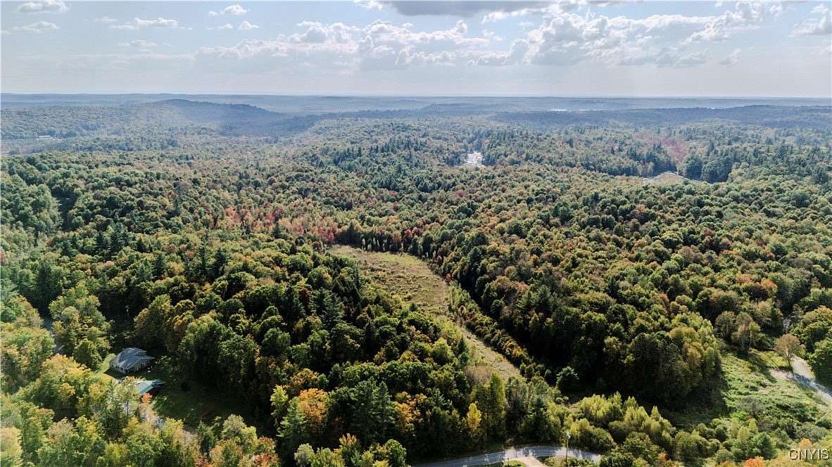 19.2 Acres of Recreational Land for Sale in Diana Town, New York