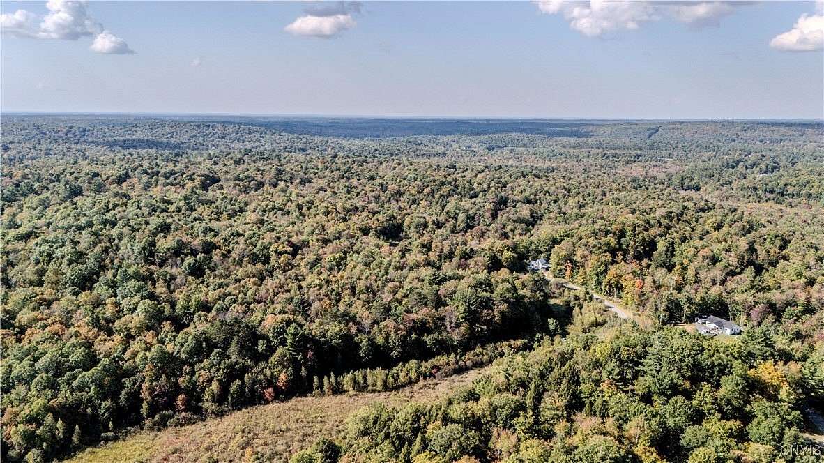 19.67 Acres of Recreational Land for Sale in Diana Town, New York