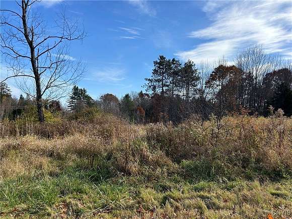 19.39 Acres of Recreational Land for Sale in Diana Town, New York