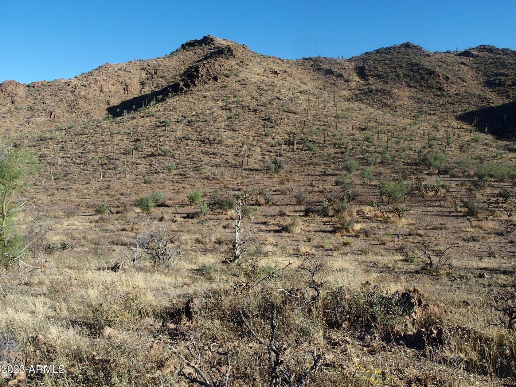 1.32 Acres of Land for Sale in Queen Valley, Arizona