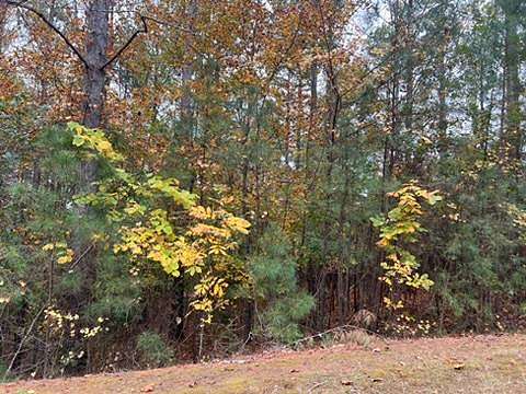 2.6 Acres of Residential Land for Sale in Salem, South Carolina