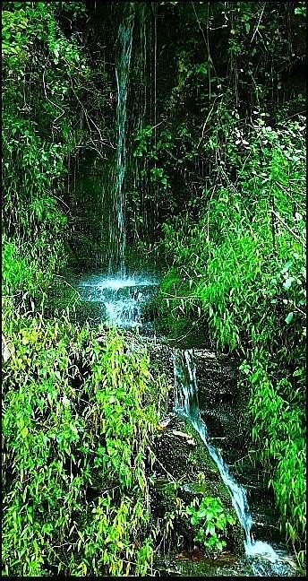 5.64 Acres of Residential Land for Sale in Flat Rock, North Carolina