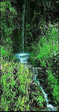 5.64 Acres of Residential Land for Sale in Flat Rock, North Carolina