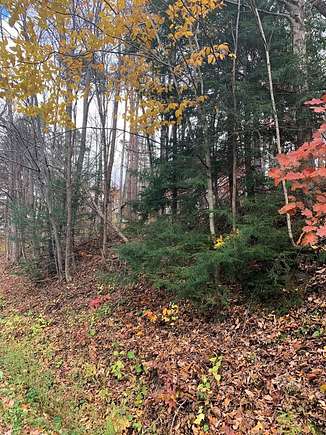 14 Acres of Land for Sale in Watkins Glen, New York