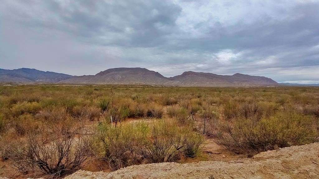 5 Acres of Land for Sale in Valentine, Texas