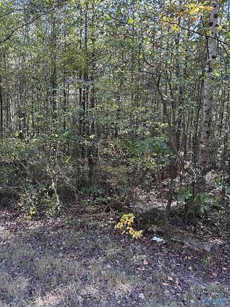 3.21 Acres of Residential Land for Sale in Sand Rock, Alabama