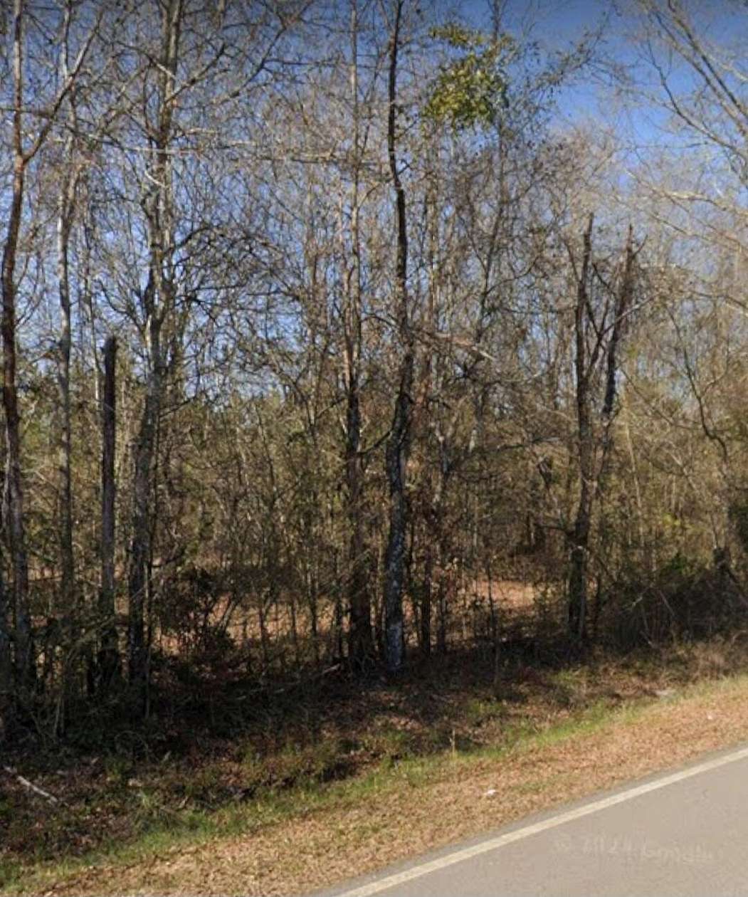 10 Acres of Residential Land for Sale in Stapleton, Georgia