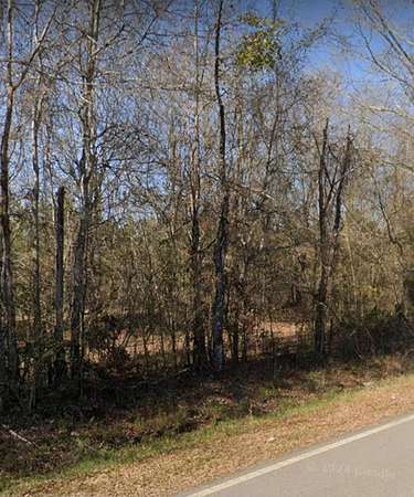 10 Acres of Residential Land for Sale in Stapleton, Georgia