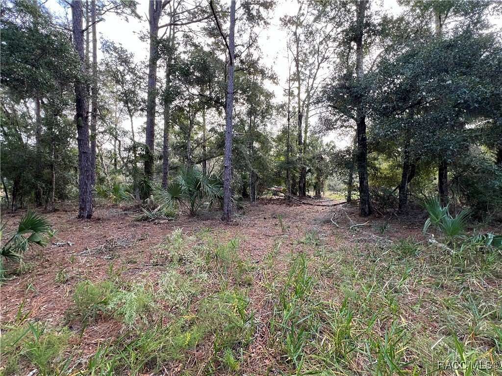 1.18 Acres of Residential Land for Sale in Crystal River, Florida