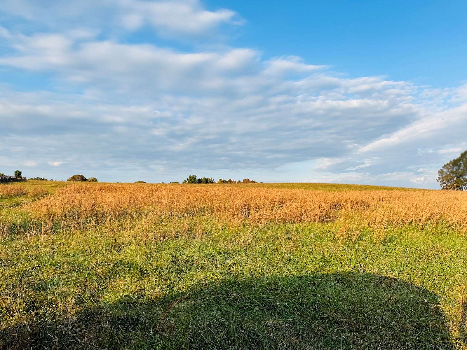 9.5 Acres of Agricultural Land for Sale in Sage, Arkansas