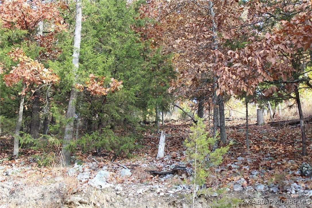 1.13 Acres of Residential Land for Sale in Gravois Mills, Missouri