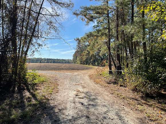 71.21 Acres of Recreational Land for Sale in Garland, North Carolina