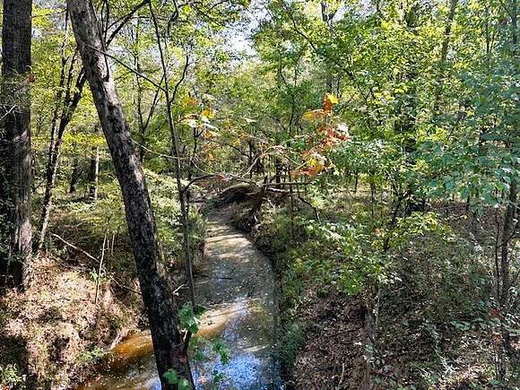 247 Acres of Recreational Land for Sale in Hermanville, Mississippi