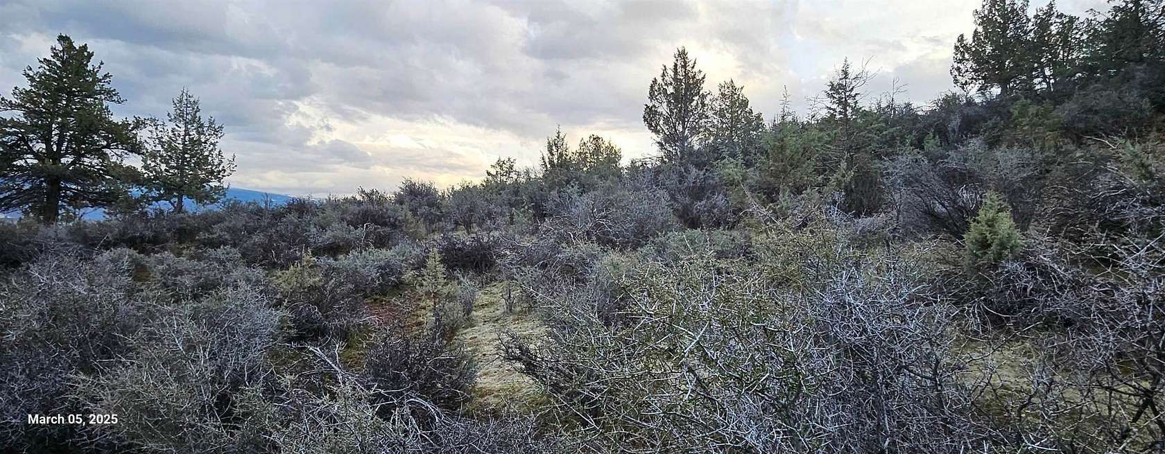 5 Acres of Land for Sale in Hornbrook, California