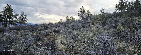 5 Acres of Land for Sale in Hornbrook, California