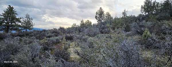 5 Acres of Land for Sale in Hornbrook, California