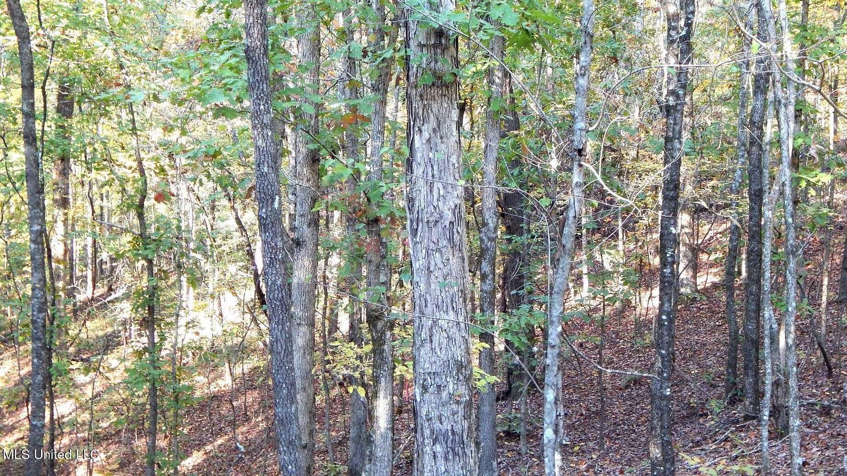 40 Acres of Recreational Land for Sale in Coffeeville, Mississippi