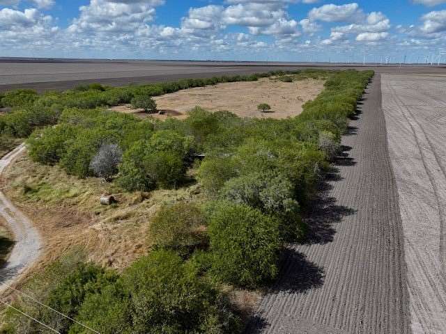 29 Acres of Improved Land for Sale in Odem, Texas