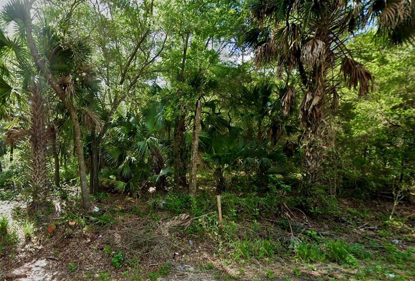 0.35 Acres of Residential Land for Sale in Ocklawaha, Florida