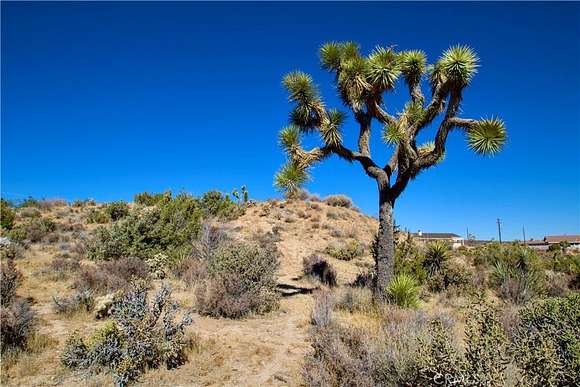 2.48 Acres of Residential Land for Sale in Yucca Valley, California