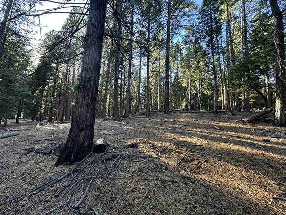 0.5 Acres of Residential Land for Sale in Lake Almanor Country Club, California