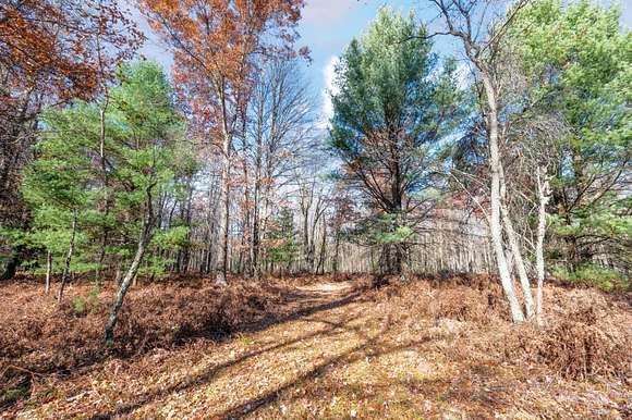 100 Acres of Recreational Land for Sale in Baldwin, Michigan