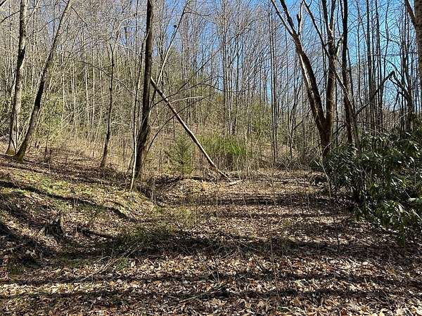 Land for Sale in Andrews, North Carolina