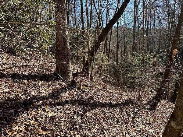 Land for Sale in Andrews, North Carolina