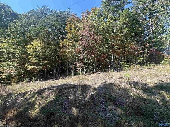 1 Acre of Residential Land for Sale in Fort Payne, Alabama